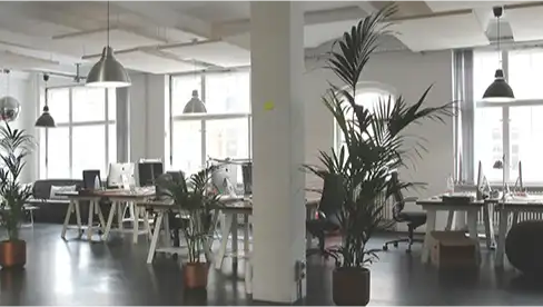 Commercial Preview